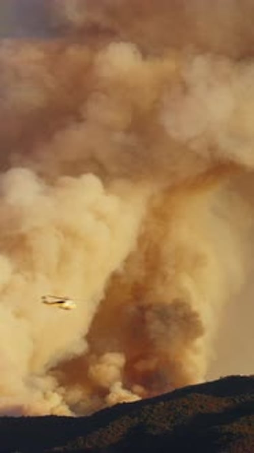 The Response to Fire Emergencies in Malibu and Pacific Palisades Areas