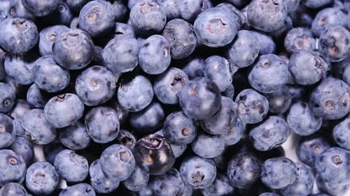 Macro Video of Fresh Blueberries Rotating in Closeup Highlighting Plump Berries and Their Deep Blue