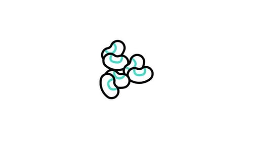 Greenbeans Animated Icon