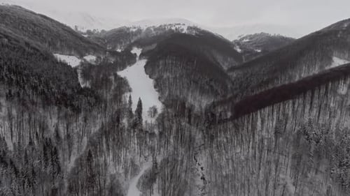 Aerial View of a Scenic Mountains Covered with Forests in Wintertime