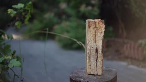 Closeup Chopping a Wood with an Axe That Stands Outdoors on a Log Preparation of Firewood Chopping