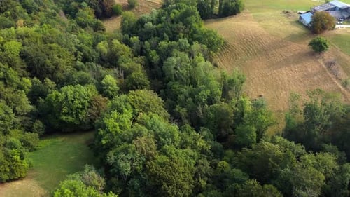Aerial view of a hill with a forest and a house