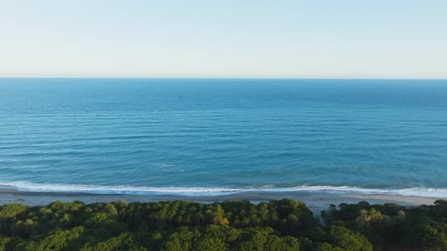 Pine Forest Near Mediterranean Sea Nature With Waves And Beach At Sunset