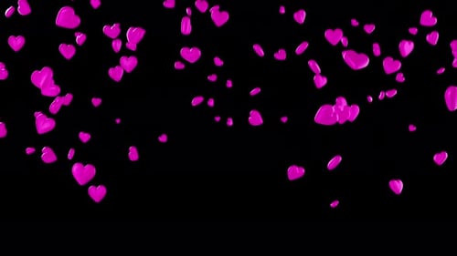 Animated pink violet hearts falling down, transition. Alpha channel. 3D rendering. 4K.