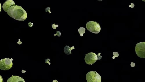 Kohl und Brokkoli Herbst Hd