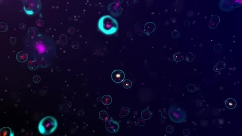 Dynamic Neon Orbs Abstract Background Seamless Loop