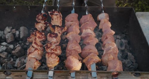 Closeup Fries Meat Skewers Barbecue on Skewers Barbecue Grill Leisure Food People Holidays