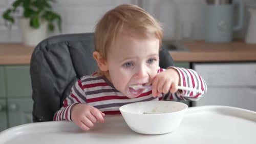 Cute Child Eating Cereal in High Chair