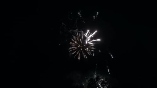 Colorido espectáculo de fuegos artificiales en el cielo nocturno.