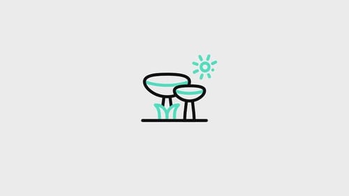 Animated Flat Design Mushroom and Sun Icon Reveal