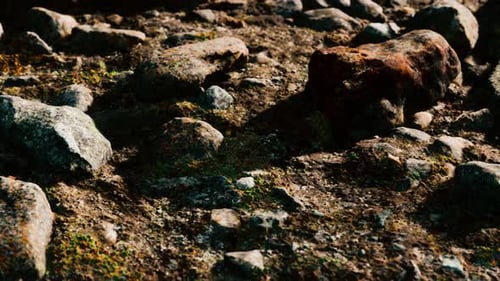 Close Up of Rocky Stones Formation