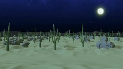 Cactus Desert Night Hd