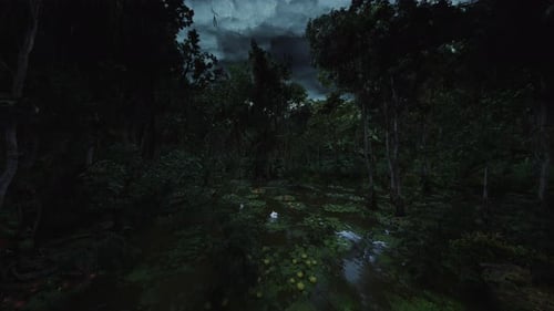 Dark Swamp Forest Nature Cinematic Background