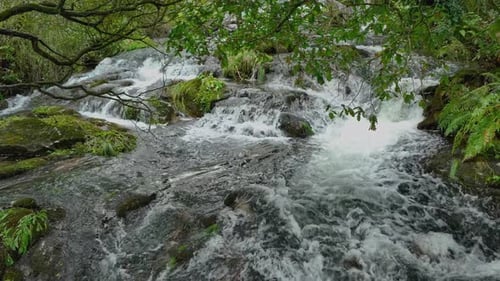 Parga River Flowing Over Rocks In Tropical Jungle In Spain. Slow Motion