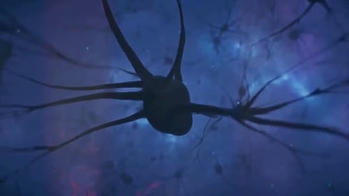 Futuristic Neuron Network in Cosmic Environment