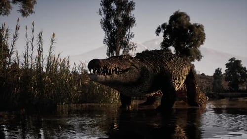 Crocodile majestueux pataugeant dans des eaux tranquilles au coucher du soleil