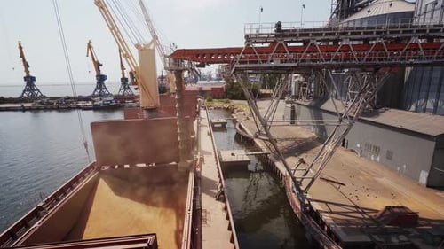 Grain Loading to Bulker Ship Cargo Container at Sea Grain Terminal in Seaport Wheat Shipment From