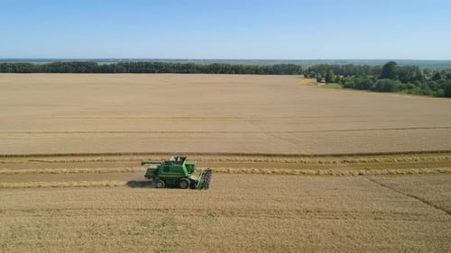 Combine Harvester on Wheat Field