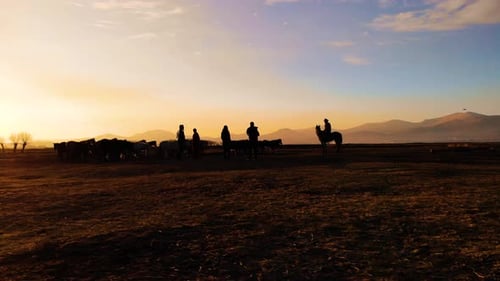 Horses and Riders in a Golden Sunset Field