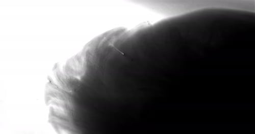 Abstract Ink Spreading in Liquid, Black and White