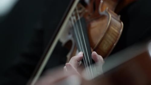 Close Up of Violin Being Played