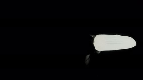 White Paint Stroke on Black Glass Surface