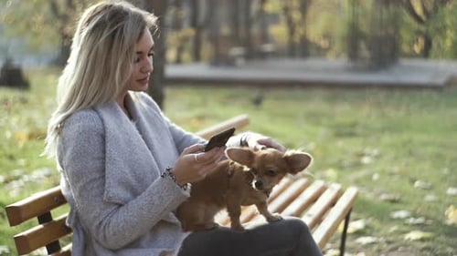 Young Beautiful Woman in the Park with Her Funny Longhaired Chihuahua Dog