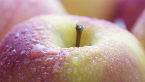 Nahaufnahme eines frischen reifen Apfels mit Wassertropfen