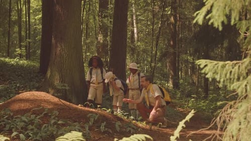 Scouts Examining Soil at Forest while Hiking