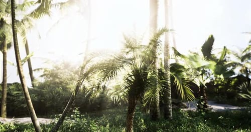 Sunlight Filters Through Vibrant Palm Trees in a Lush Tropical Oasis