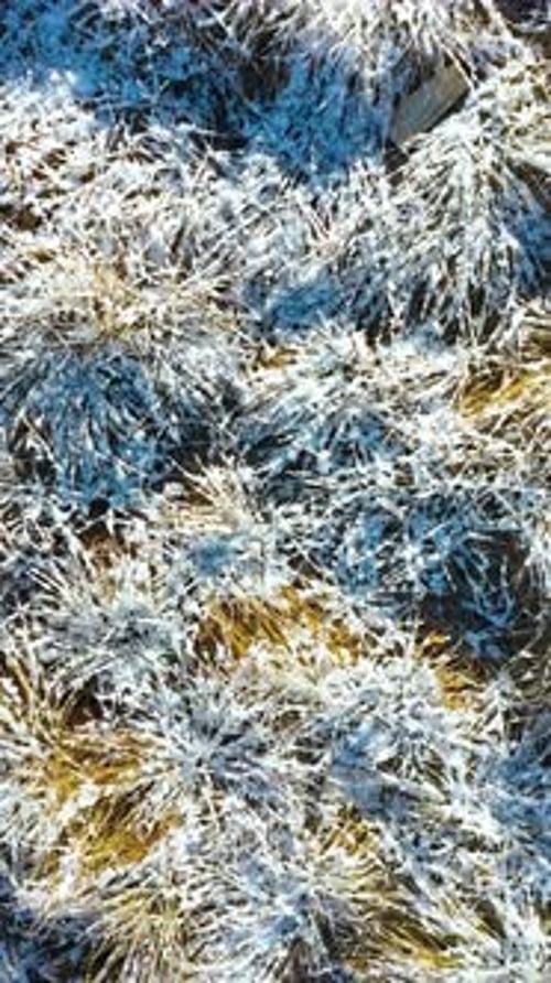 Warm Light Caresses Icy Grass Creating a Magical Frosty Landscape From Above