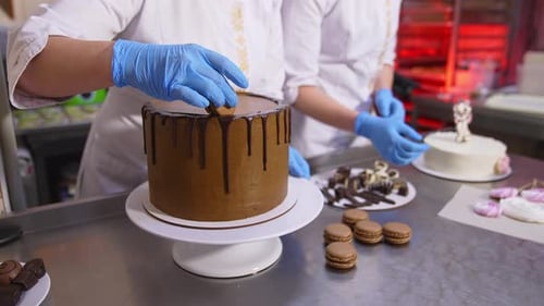 Cake Artists Decorating Delicious Cakes in Professional Kitchen