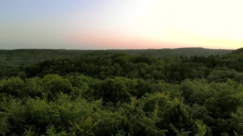 Aerial footage over green high trees during sunset, view of the tree crowns from above, dense green