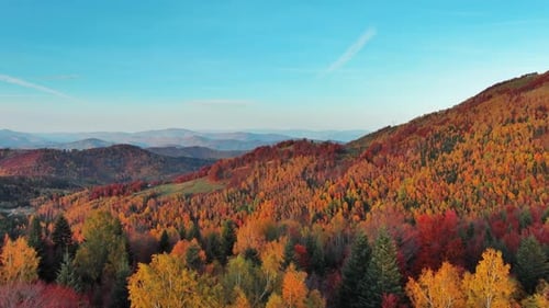Flying Over Autumn Forest in Mountain
