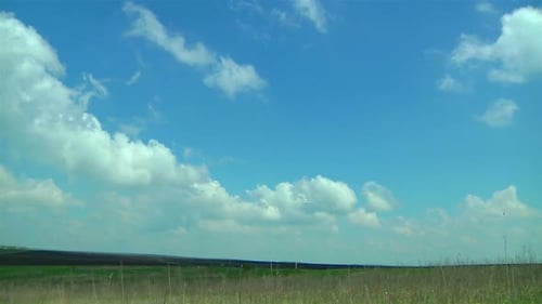 Beatiful Morning Green Field with Blue Heaven