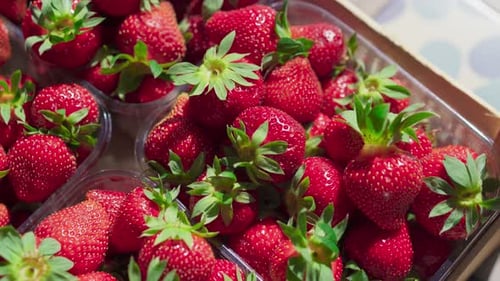 A Wooden Box Filled with Freshly Packaged Strawberries Captures the Essence of Farmtotable Freshness