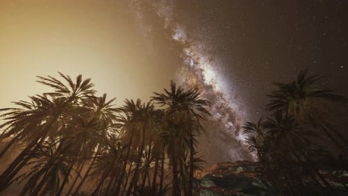 Night Scene with Silhouette Hut and Coconut Tree with Milky Way Galaxy in Sky