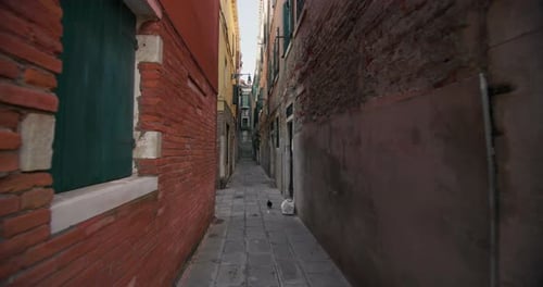 Venice Cityscape Walking Through the Colorful Streets of Italy's Touristic Gem