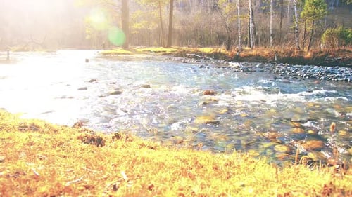 Dolly Slider Shot of the Splashing Water in a Mountain River Near Forest Wet Rocks and Sun Rays