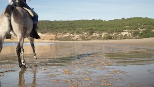 Aufsteigende Handaufnahme in Zeitlupe am schönen Sandstrand bei ruhigen Wellen, während zwei Fahrer gallen