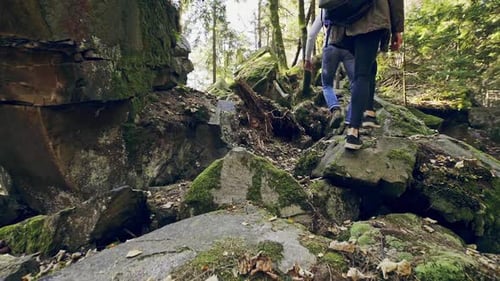 Group of Hikers Climbing Up in the Forest