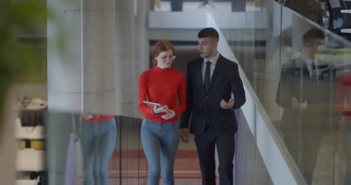 Business Professionals Discuss Work in Modern Office