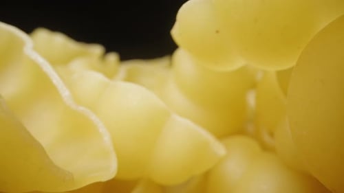 Close Up of Uncooked Conchiglie Pasta