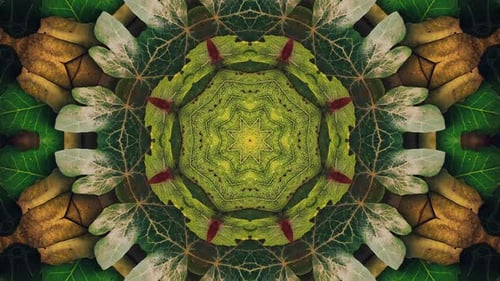 Seasonal Leaves Pattern 25