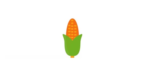 Animated Flat Design Corn Cob Icon