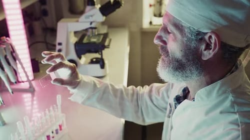 Adult Scientist Working in a Modern Laboratory