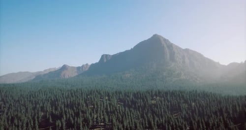 Majestic Mountain Rising Over Lush Evergreen Forest Under Bright Sky