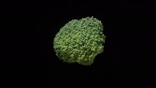 broccoli inflorescence, rotates on a black background. isolate close-up.