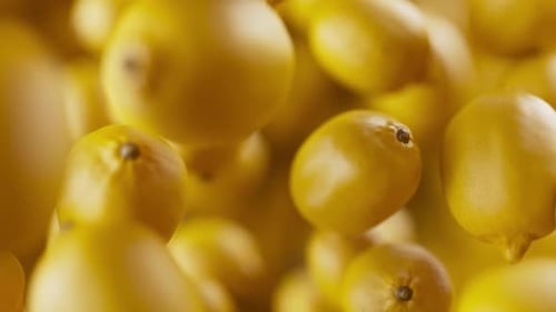 Nahaufnahme von leuchtend gelben Zitrusfrüchten