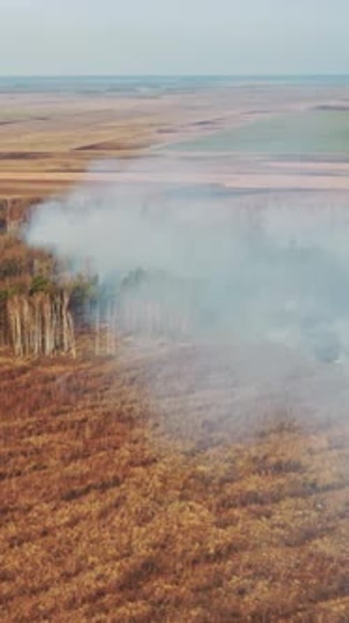 Aerial View Spring Dry Grass